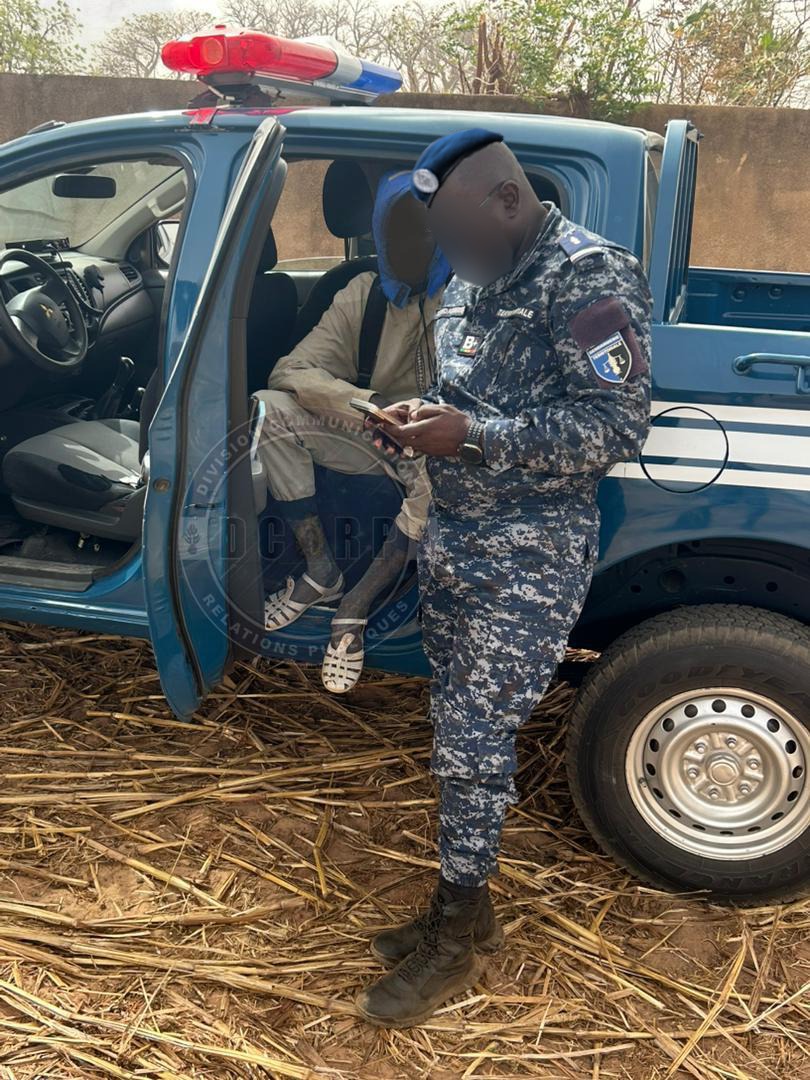 Lutte contre le vol de bétail: un présume voleur arrêté à NIORO - Image 2
